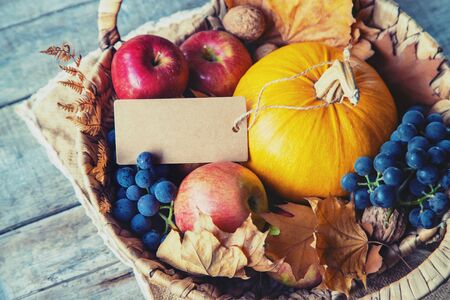 Autumn background with pumpkin. Thanksgiving Day. Selective focus. nature.の写真素材