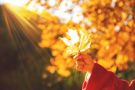 child in a red coat with autumn leaves. Love autumn. Selective focus.の写真素材