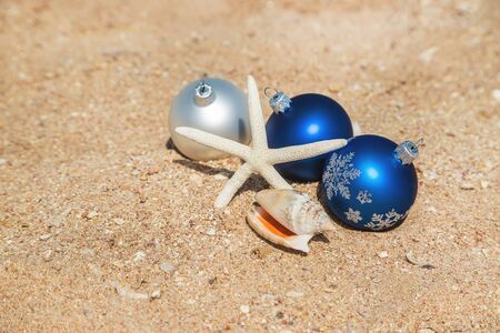 Christmas on the beach. Travels. Selective focus natureの写真素材