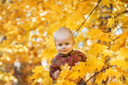 Little kid boy in the park on autumn leaves. Selective focus.の写真素材