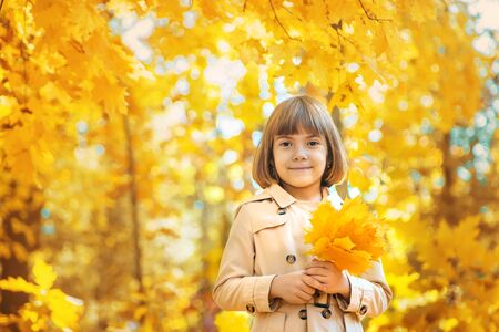Children in the park with autumn leaves. Selective focus.の写真素材