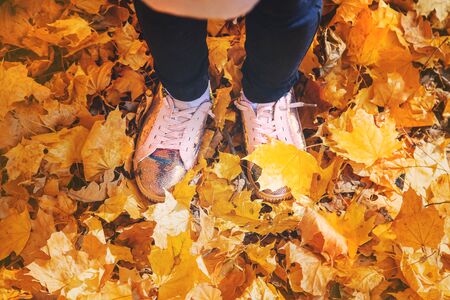 Children in the park with autumn leaves on shoes. Selective focus. nature.の写真素材