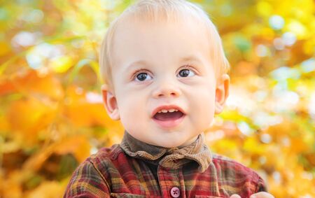 Little kid boy in the park on autumn leaves. Selective focus.の写真素材