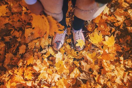 Children in the park with autumn leaves on shoes. Selective focus. nature.の写真素材