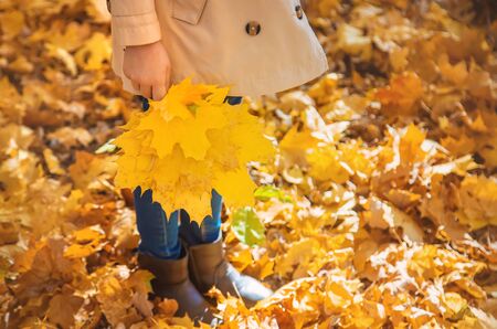 Children in the park with autumn leaves. Selective focus. nature.の写真素材