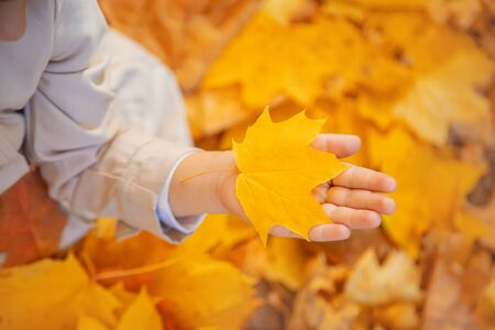 Children in the park with autumn leaves. Selective focus. nature.