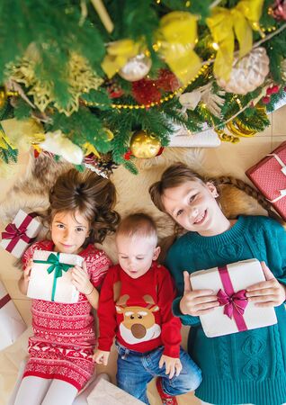 Children near the Christmas tree. Selective focus.の写真素材
