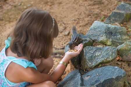 A child feeds palm squirrels. Selective focus. Nature.の写真素材