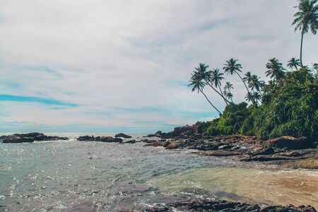 Ocean Sri Lanka. Nature and palm trees. Selective focus. Nature.の写真素材