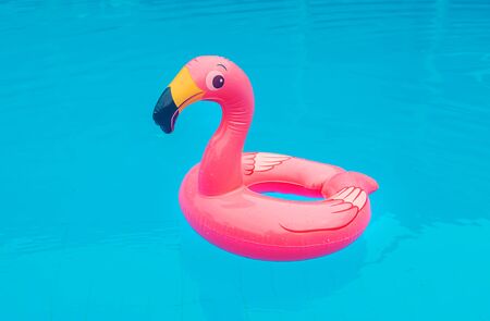 Circle in a flamingo pool. Selective focus. nature.の写真素材