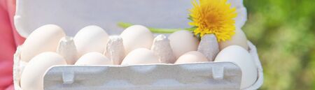 homemade eggs in the hands of a child. Selective focus. nature.