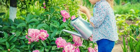 child watering flowers in the garden. Selective focus.の写真素材