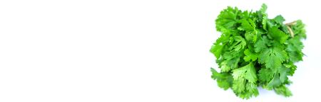 Fresh homemade greens from the garden. Isolate Selective focus. nature.の写真素材