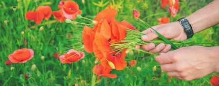 man collects a bouquet of wildflowers. Poppies selective focus. nature.の写真素材