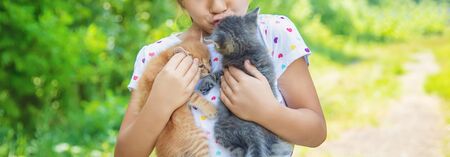 Little kittens in the hands of children. Selective focus.