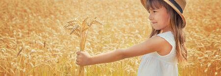 A child in a wheat field. Selective focus.の写真素材