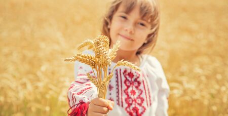 A child in a field of wheat in an embroidered shirt. Ukrainian. Selective focus.の写真素材