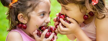 Children eat cherries in the summer. Selective focus.の写真素材