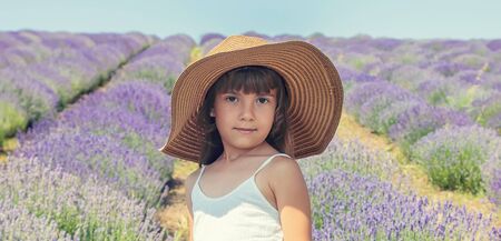 A child in a flowering field of lavender. Selective focus. nature.