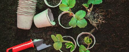 Land and gardening supplies. Garden. Selective focus natureの写真素材