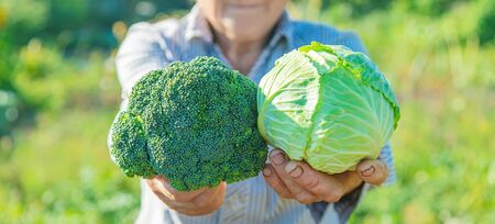 grandmother with cabbage and broccoli in her hands. Selective focus.
