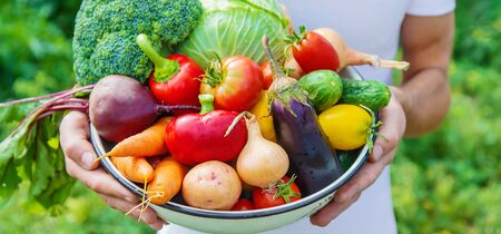 Man farmer with homemade vegetables in his hands. Selective focus. nature.の写真素材