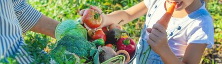 Child and grandmother in the garden with vegetables in their hands. Selective focus. nature.の写真素材