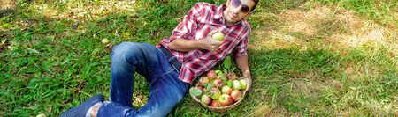 Man gardener picks apples in the garden in the garden. Selective focus.
