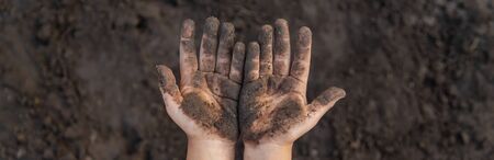 Child in the garden with the earth in his hands. Selective focus. nature.の写真素材