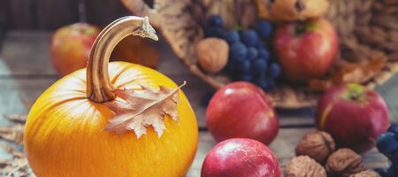 Autumn background with pumpkin. Thanksgiving Day. Selective focus. nature.の写真素材