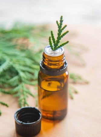 Juniper essential oil in a small bottle. Selective focus. nature.の写真素材