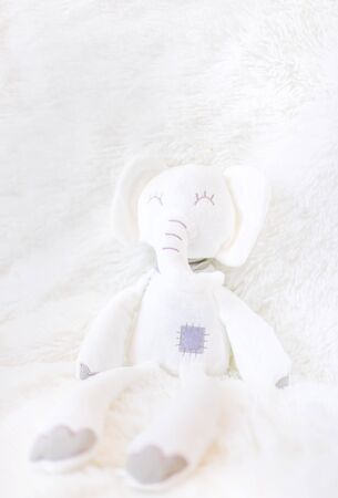 The little plush toy is sleeping. Selective focus. nature.の写真素材