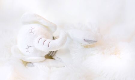 The little plush toy is sleeping. Selective focus. nature.の写真素材