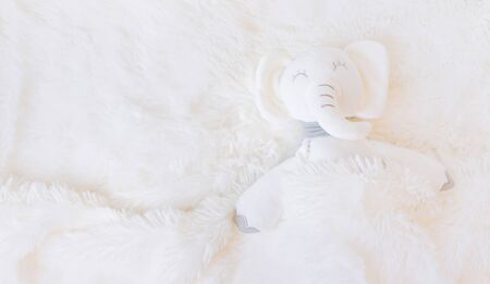 The little plush toy is sleeping. Selective focus. nature.の写真素材