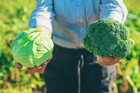 grandmother with cabbage and broccoli in her hands. Selective focus.の写真素材