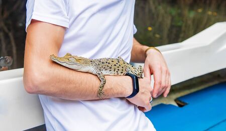 A man holds a small crocodile in his hands. Selective focus.の写真素材