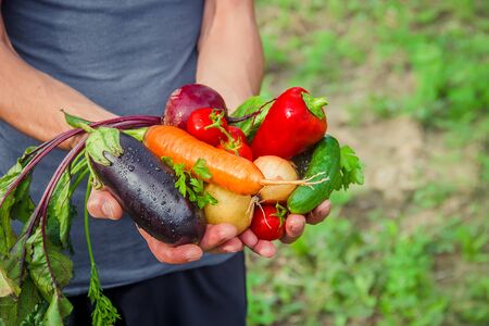 A man in the garden with vegetables in his hands. Selective focus. nature.の写真素材