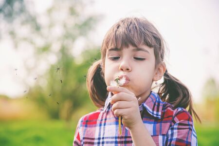 Child girl with dandelions in the park. Selective focus.の写真素材