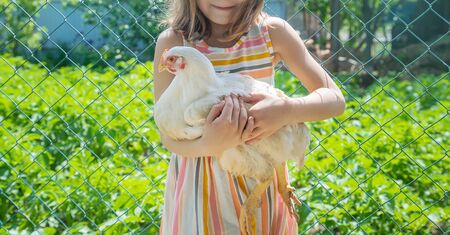 A child on a farm with a chicken. Selective focus.の写真素材