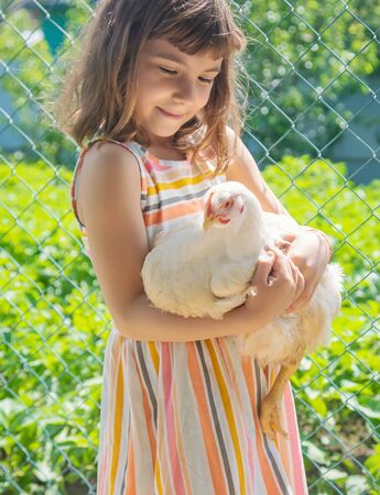 A child on a farm with a chicken. Selective focus.の写真素材