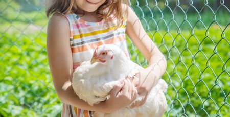 A child on a farm with a chicken. Selective focus.の写真素材
