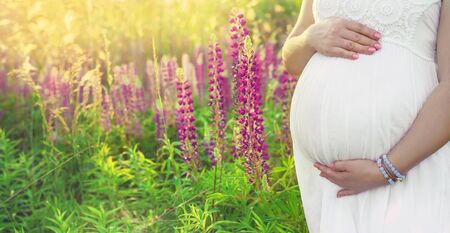 Pregnant woman in a lupine field. Selective focus. nature.の写真素材