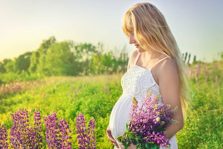 Pregnant woman in a lupine field. Selective focus.