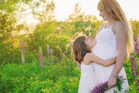 Child photo session in a lupine field with a pregnant mother. Selective focus.の写真素材