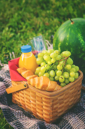 Picnic in nature fruits and watermelon. Selective focus. food.の写真素材