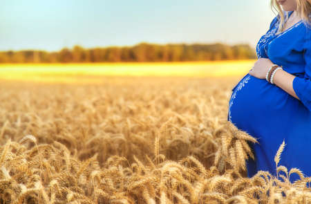 Pregnant woman in a wheat field. Selective focus. nature.の写真素材