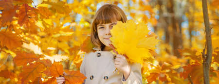 Children in the park with autumn leaves. Selective focus.の写真素材