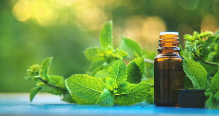 Peppermint essential oil in a small bottle. Selective focus. nature.の写真素材