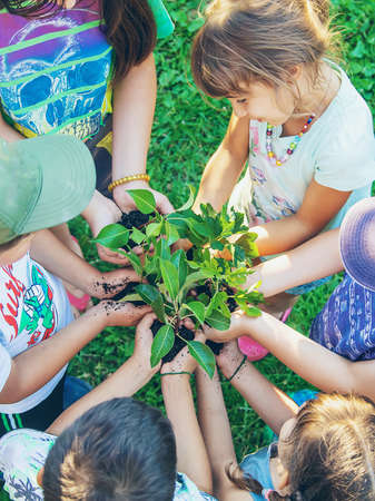 Children hold the earth and trees in their hands. Selective focus. nature.
