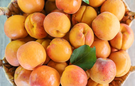 Apricots on the table gardener harvest. Selective focus. food.